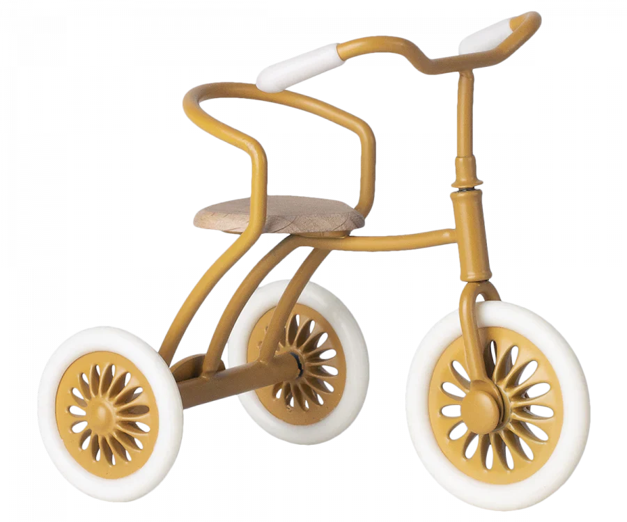 Abri a Tricycle