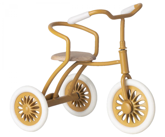Abri a Tricycle