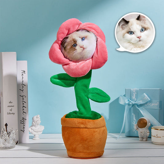 Custom Photo Dance Recording Music Toy Flower Personalized Enchanting Lantern Plant