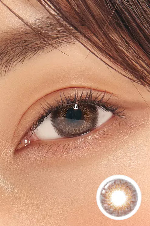 Renaissance Brown