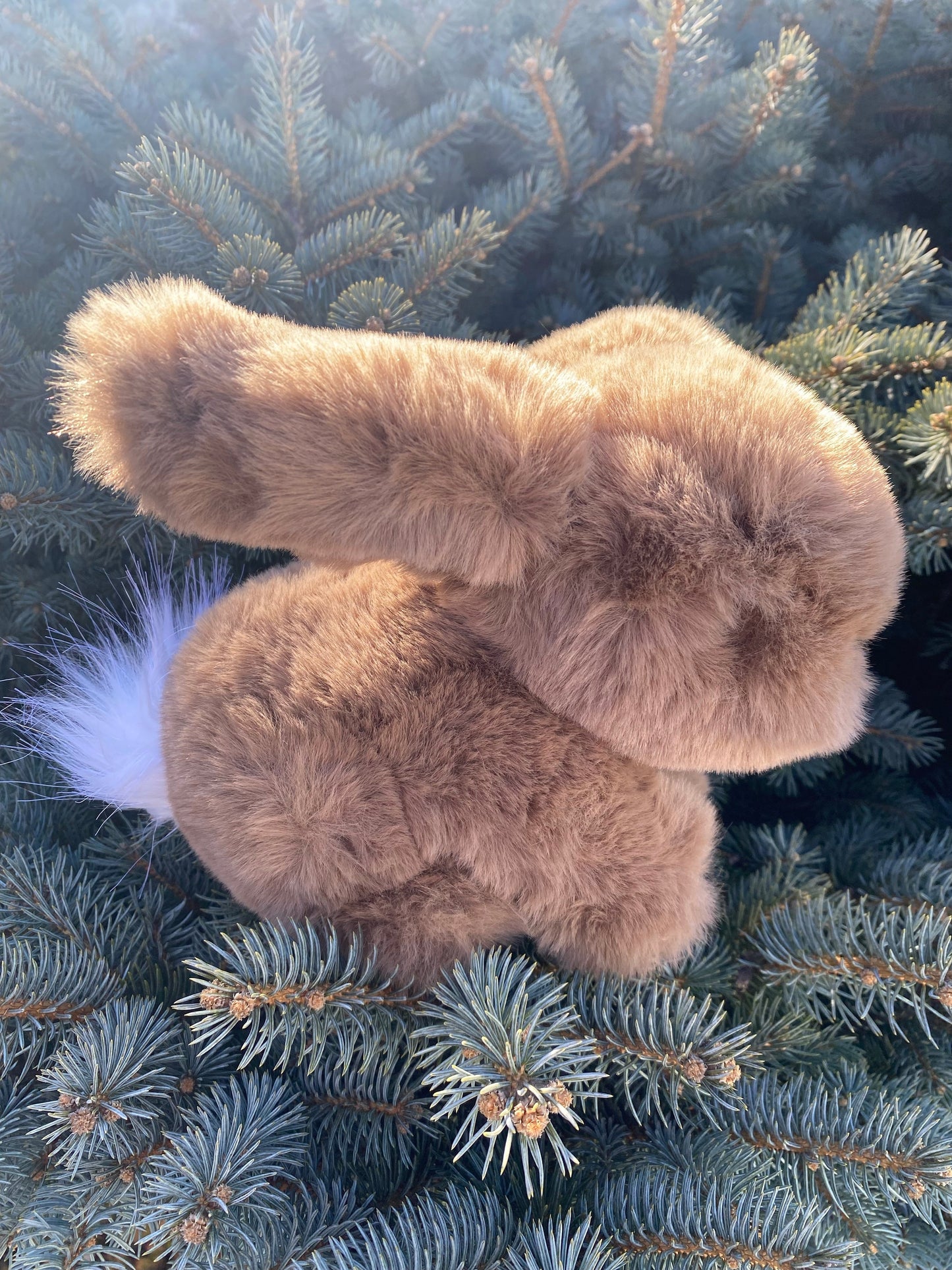 Basil Bunny M