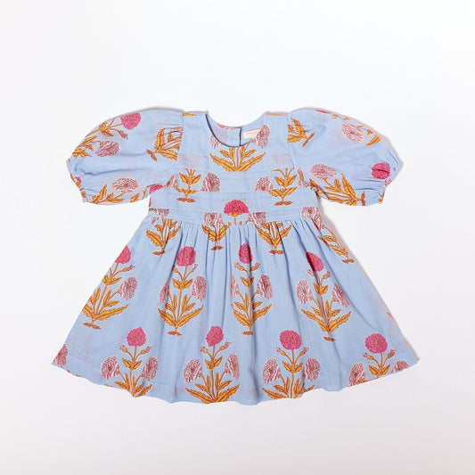 Pink Chicken Evelyn Dress